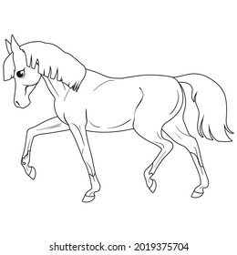 Coloring page with horse. Painting for children. Isolated vector illustration.