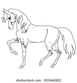 Coloring page with horse. Painting for children. Isolated vector illustration.
