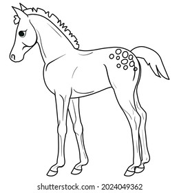 Coloring page with horse. Painting for children. Isolated vector illustration.