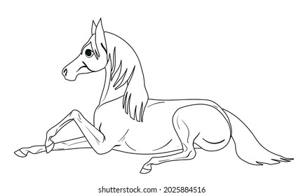 Coloring page with horse. Painting for children. The little pony lay down to rest. Isolated flat vector illustration.