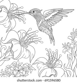 Coloring page of hummingbird and hibiscus flowers. Freehand sketch drawing for adult antistress colouring book with doodle and zentangle elements.