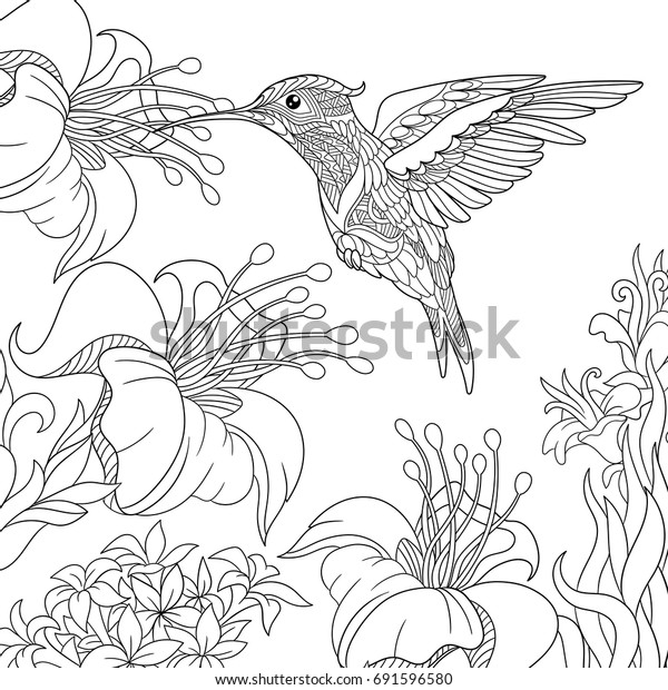 Download Coloring Page Hummingbird Hibiscus Flowers Freehand Stock Vector Royalty Free 691596580