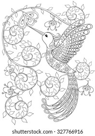 Coloring page with Hummingbird, zentangle flying bird  for adult Coloring books or tattoos with high details isolated on white background. Vector monochrome sketch of exotic bird.