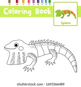 Coloring page of Iguana animals cartoon character for preschool kids activity educational worksheet. Vector Illustration.