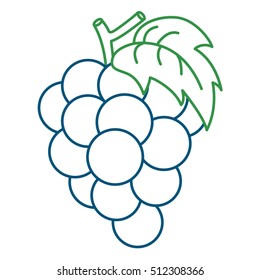 Coloring Page Illustration of Grape