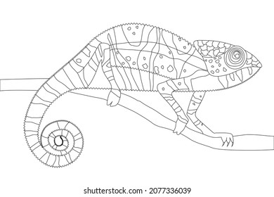 Coloring Page Image Chameleon Crawling Along Stock Vector (Royalty Free ...