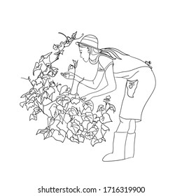 coloring page with the image of a gardener. girl in a straw hat looks after seedlings of cucumbers, grapes. vector outline isolated gardener