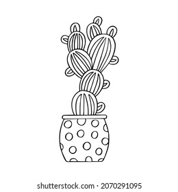 Coloring page of indoor cactus. Doodle style potted flower. Home plant. Hand drawn line art vector illustration. Isolated element. Coloring book for children and adults.
