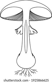 Página de coloreo con estructura interna del cuerpo frutícola de la mosca agaric (Amanita muscaria) aislada sobre fondo blanco