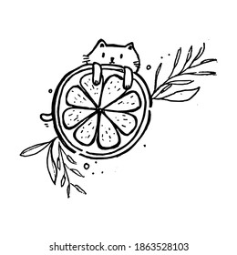 Coloring Page for Kid of Cat and Slash of Orange Hand Drawn suitable for coloring book Illustration