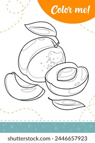 Coloring page for kids with apricot fruit.A printable worksheet, vector illustration.