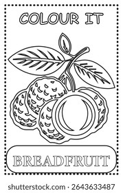 Coloring page for kids learning Breadfruit