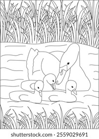 Coloring page for kids mother duck and duckling vector