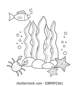 Coloring page for kids. Underwater. Seaweeds and fish, starfish and crab. Vector illustration