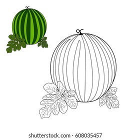 Coloring page for kids. Vector. Watermelon.