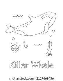 581 Killer whale drawing outline Stock Illustrations, Images & Vectors ...