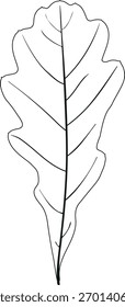 Dibujo para colorear con hoja de roble (Quercus robur) aislado sobre fondo blanco	