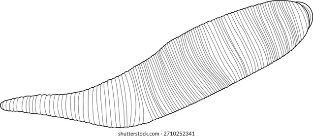 Dibujo para colorear con sanguijuela aislada sobre fondo blanco