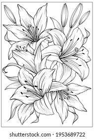 Coloring page with Lilies and leaves. Vector page for coloring. Flower Colouring page. Outline Lilies . Black and white page for coloring book. Anti-stress coloring. Line art flowers