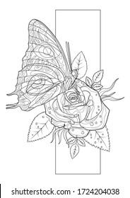 Coloring page line art butterfly and rose for adults. Stroke without fill. Vector romantic illustration. Wedding invitation. Greeting card style. Black contour sketch Isolated on white background.