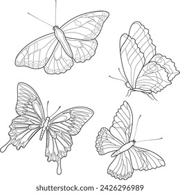 Coloring page or lineart - realistic Butterflies.