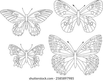Coloring page or lineart - realistic Butterflies on white.