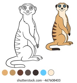 Coloring page  Little cute meerkat stands   smiles 