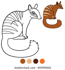 Coloring page. Little cute numbat sits and smiles.