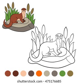 Coloring page. Little cute otter stands on the stone and smiles.