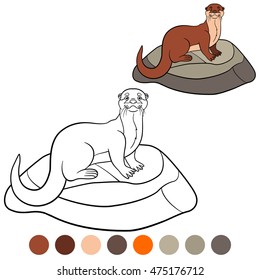 Coloring page. Little cute otter stands on the stone and smiles.