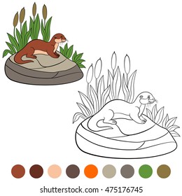 Coloring page. Little cute otter stands on the stone and smiles.