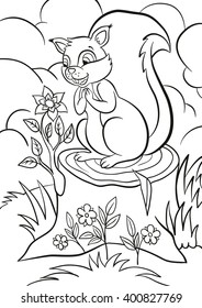 Coloring page. Little cute squirrel stands on the stump and looks at the beautiful flower. Flower grows from the stump. There are bushes, grass and flowers around.