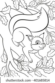 Coloring page. Little cute squirrel stands on the bunch of the oak tree and smiles.