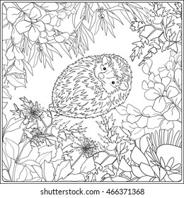 Coloring page with lovely hedgehog. Coloring book for adult and older children. Vector illustration. Outline drawing. 