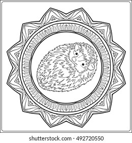 Coloring page with lovely hedgehog in decorative frame. Coloring book for adult and older children. Vector illustration. Outline drawing.