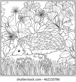 Coloring page with lovely hedgehog in the garden. Coloring book for adult and older children. Vector illustration. Outline drawing. 