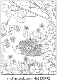 Coloring page with lovely hedgehog in the garden. Coloring book for adult and older children. Vector illustration. Outline drawing. 
