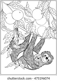 Coloring page with lovely sloth in forest. Coloring book for adult and older children. Vector illustration. Outline drawing. 