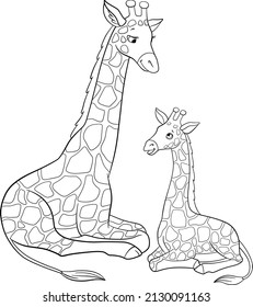 Coloring page. Mother giraffe with long neck lays with her little cute baby giraffe and smiles.