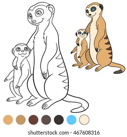 Coloring page. Mother meerkat with her little cute baby.