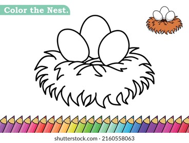 Coloring page for Nest vector illustration. 
Kindergarten children Coloring pages activity worksheet with cute Nest cartoon. 
Nest isolated on white background for color books.