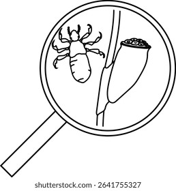Coloring page with nymph head louse (Pediculus humanus) and egg (nit) attached to a hair under magnifying glass isolated on white background. Lice check	