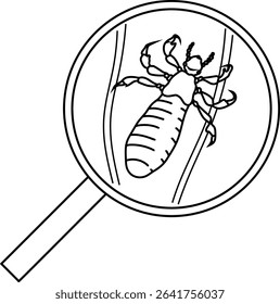 Coloring page with nymph head louse (Pediculus humanus) under magnifying glass isolated on white background. Lice check	

