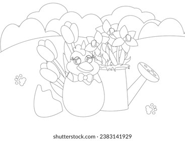 Coloring page. On a green meadow there is a charming chicken in an egg. On the back are tulips and a watering can with daffodils and rabbit footprints. A mood of joy and serenity.