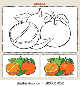 Coloring page of orange with two samples coloring