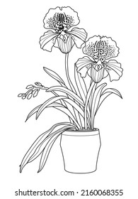 Coloring Page Orchids Vector Stock Illustrator Stock Vector (Royalty ...