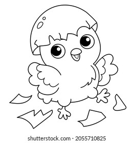 Coloring Page Outline of cartoon chick with egg. Newborn chicken. Birthday. Coloring book for kids.