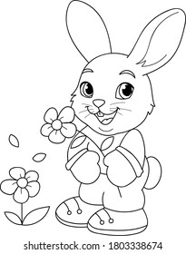 Download Bunny Coloring Book Hd Stock Images Shutterstock