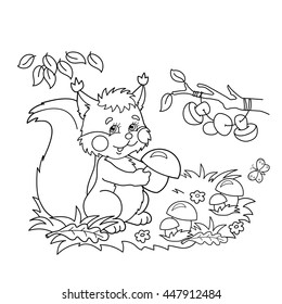 Coloring Page Outline Of cartoon squirrel with mushrooms in the meadow with butterflies. Coloring book for kids