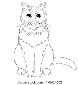 Coloring page outline cat for adult coloring book.